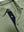 Collar and button detail close-up, ultra-comfort slim fit roma knit polo shirts in green grey