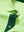 Detail shot of the collar on the turquoise green ventilated pique performance polo, emphasizing the classic neckline design